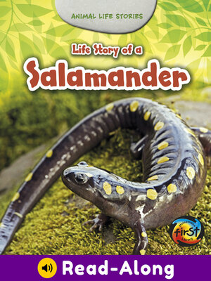 cover image of Life Story of a Salamander